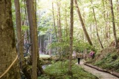 Hiking at The Cabin at Spring Creek Preserve. Chelsea Lane Photography