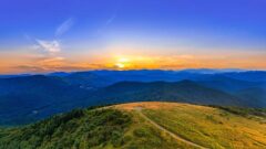 Re/Max Executive Re/Max Executive