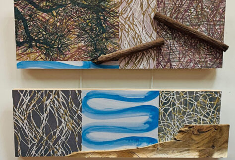 Asheville Printmakers: Pressing Onwards